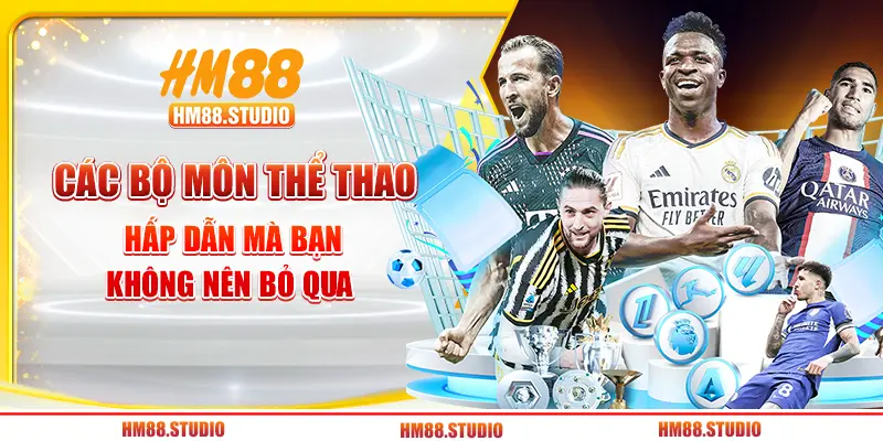 Các bộ môn thể thao hấp dẫn mà bạn không nên bỏ qua 