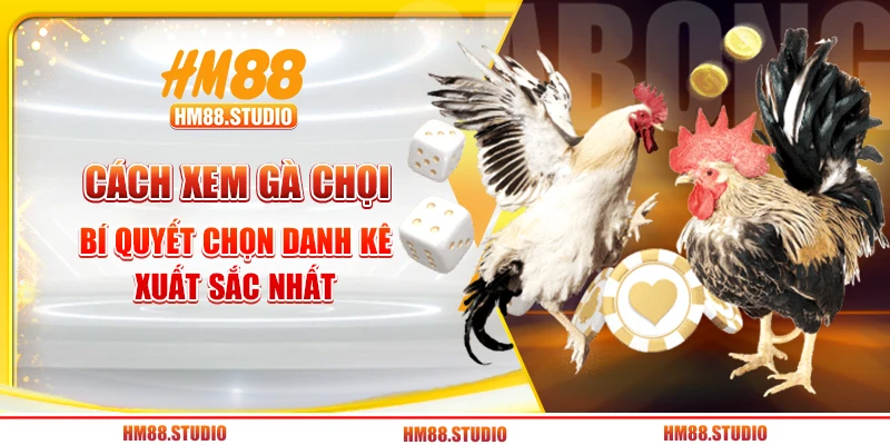 Cách Xem Gà Chọi