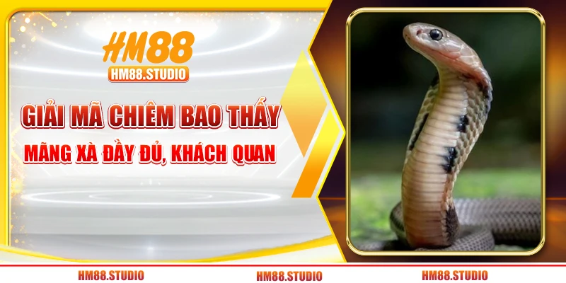 Giải mã chiêm bao thấy mãng xà đầy đủ, khách quan