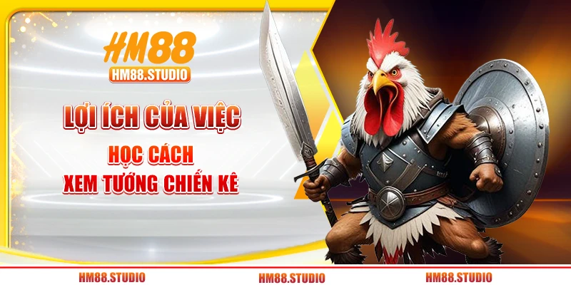 Lợi ích của việc học cách xem tướng chiến kê