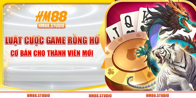 Luật cược game rồng hổ cơ bản cho thành viên mới