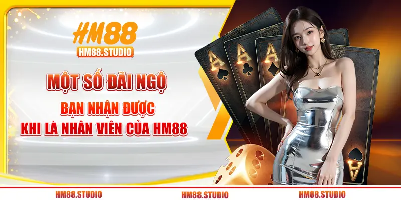 Một số đãi ngộ bạn nhận được khi là nhân viên của HM88