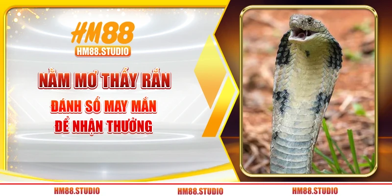 Nằm mơ thấy rắn đánh số may mắn để nhận thưởng