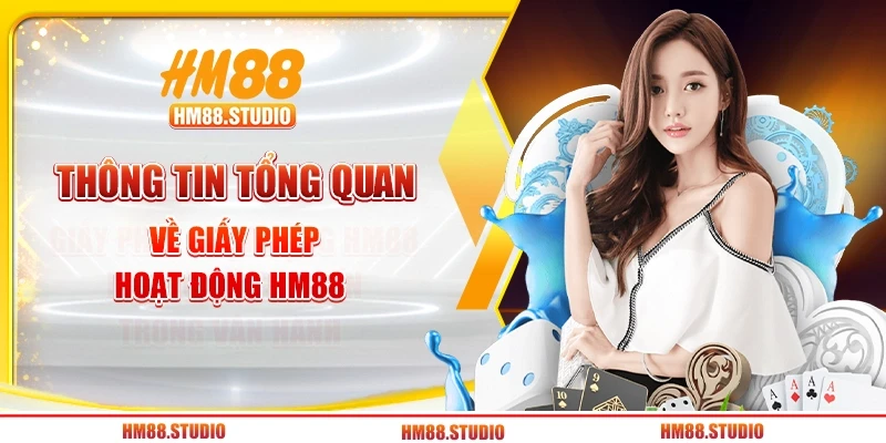Thông tin tổng quan về giấy phép hoạt động HM88 