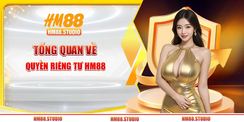 Tổng quan về quyền riêng tư HM88