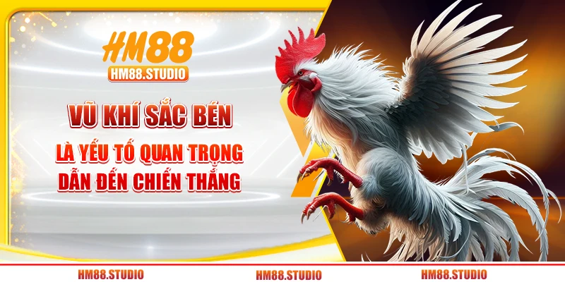 Vũ khí sắc bén là yếu tố quan trọng dẫn đến chiến thắng